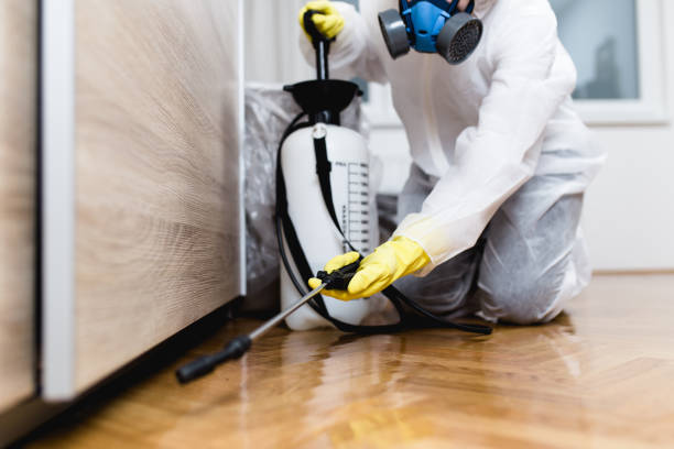 Best Pest Inspection Near Me  in Le Roy, IL