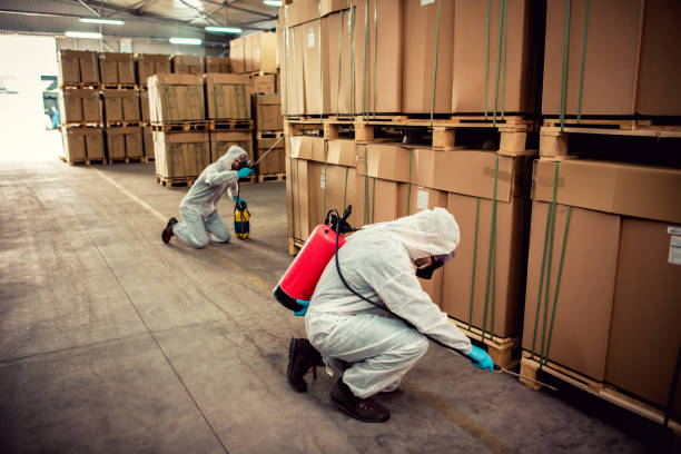 Best Affordable Pest Control Services  in Le Roy, IL
