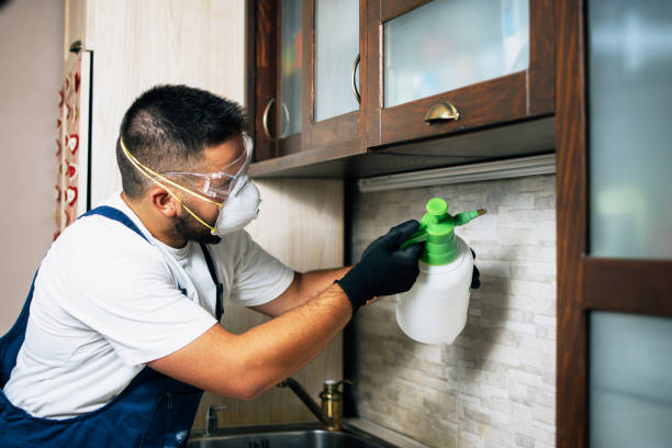 Professional Pest Control in Le Roy, IL