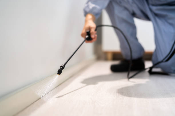 Flea Control Services in Le Roy, IL