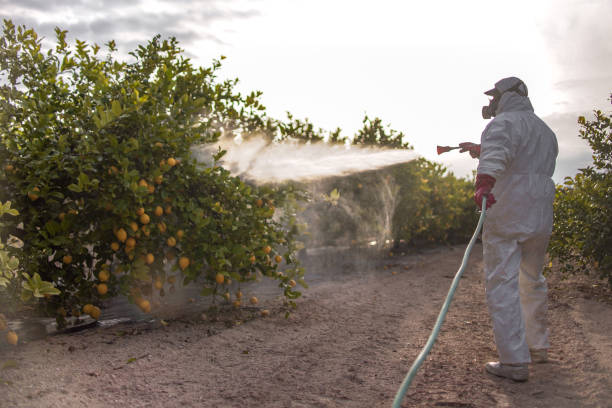 Best Ant Control Services  in Le Roy, IL