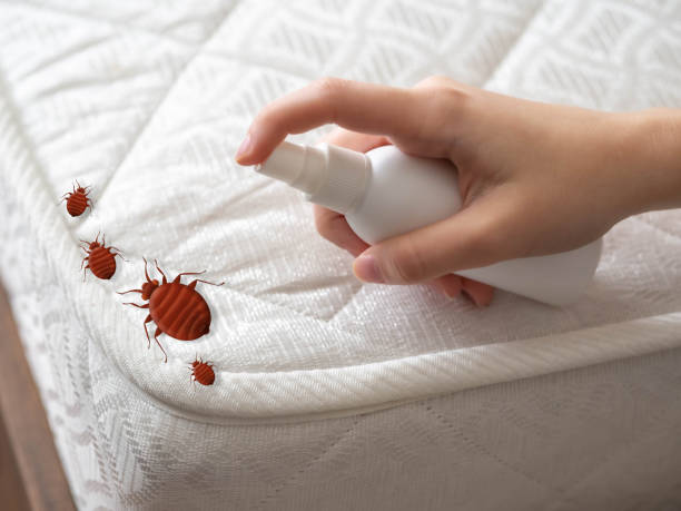 Best Cockroach Control Services  in Le Roy, IL